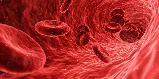 Bunky červených krviniek
